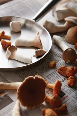 Logotrade liikelahja tuotekuva: VINGA Vici eräpannu