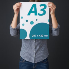 Ulkomainosjuliste A3