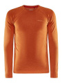 CORE Dry Active Comfort Ls – pelipaita (miehille), Kastanja (laatikko)