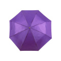 Sateenvarjo Ziant, Violetti