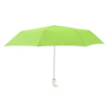 Sateenvarjo Winsler, Vaaleanvihreä