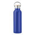 Bouteille à double paroi 750 ml, bleu