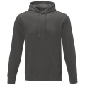 Sweat à capuche homme Charon, gris orage