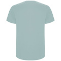 Tee-shirt homme Stafford à manches courtes, bleu délavé