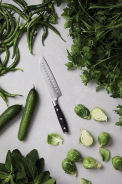 Logotrade verslo dovanos nuotrauka: VINGA Kaiser Santoku peilis