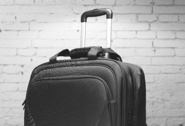 Verslo vežimėlis – detalės vaizdas 6