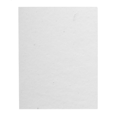 CreaStick Seed Note L – pasirinktinis lipnus užrašų bloknotas, papildomas gaminio vaizdas 3
