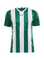 Progress Stripe – sportiniai marškinėliai (vyrams), Žalioji komanda