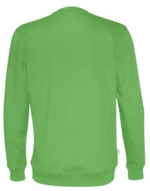 Crew Neck Man – džemperis, Žalia – Cottover (2)
