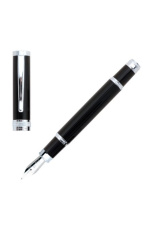 Plunksnakotis Focus
