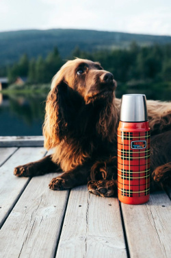 THERMOS Jubileum 0,5 l – termosas, spalva: raudona languota, gaminio vaizdas (2)