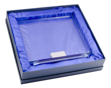 Stiklinė plokštė su mėlynu profiliu 260 × 220 mm, gaminio vaizdas (4)
