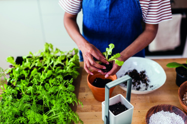 Logotrade logo dāvanas foto: Iekštelpu dārzs ar LED apgaismojumu