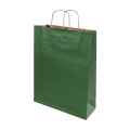 Papbag M – papīra dāvanu maisiņš, vidēja izmēra, zaļš