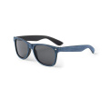 Saulesbrilles Leychan, Zils