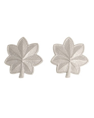 ASV pakāpes nozīmītes (pāris) pulkvežleitnants Silvers