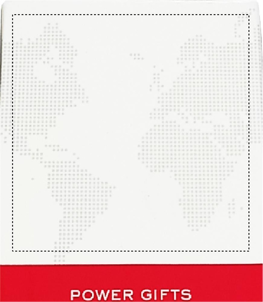 Ładowarka SKROSS Euro USB (AC): Logo position – box