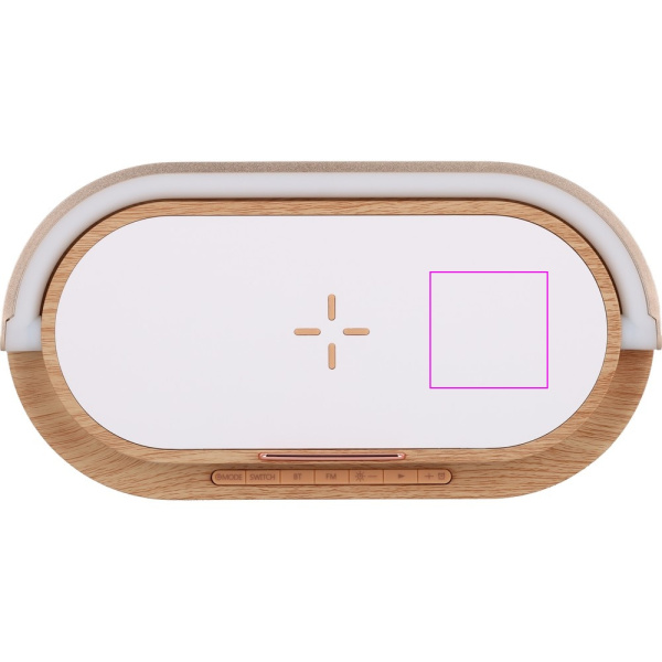 Enceinte Bluetooth LIMASSOL MoLu: Zone de marquage 1 · T4