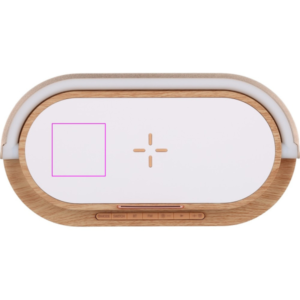 Enceinte Bluetooth LIMASSOL MoLu: Zone de marquage 2 · T4