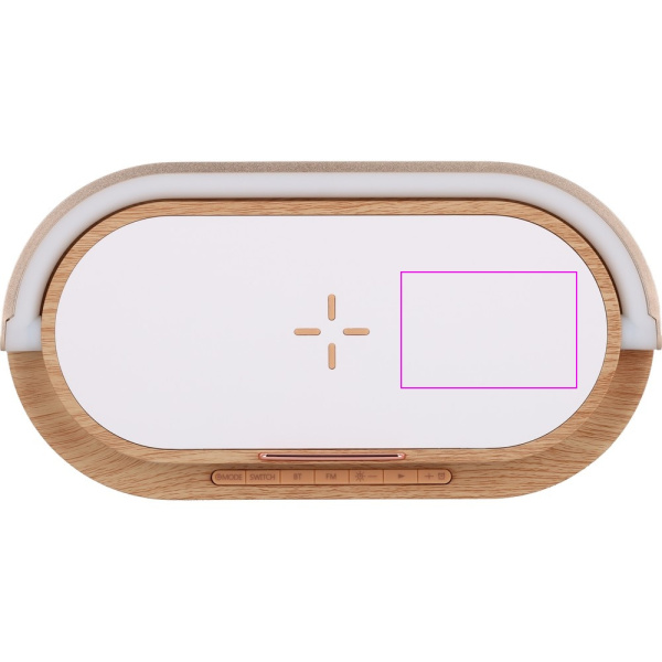 Enceinte Bluetooth LIMASSOL MoLu: Zone de marquage 4 · DC2