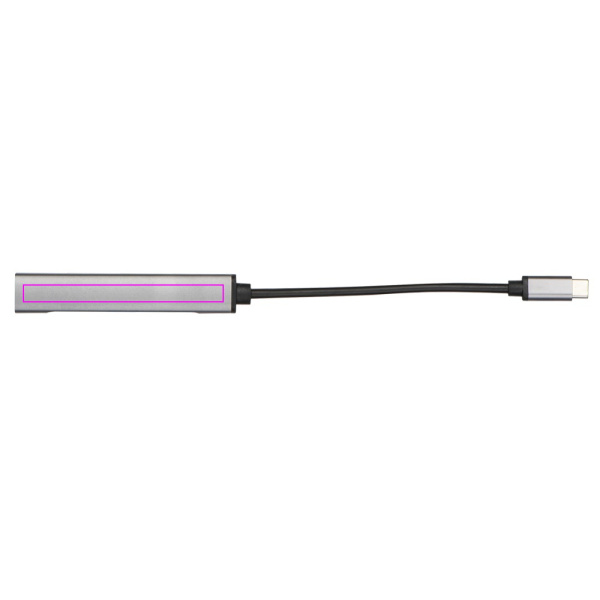HUB splitter with data transfer function HILDEGARDA: Print area 1 · L2