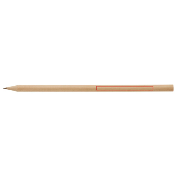 Pencil bio: side 1
