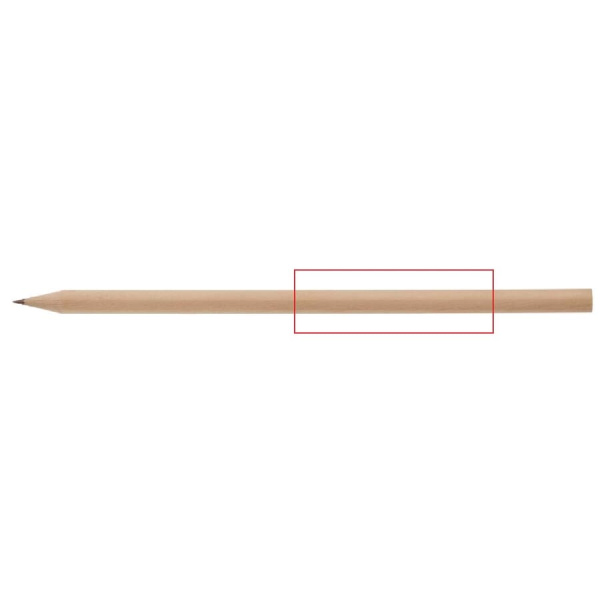 Pencil bio: side 1