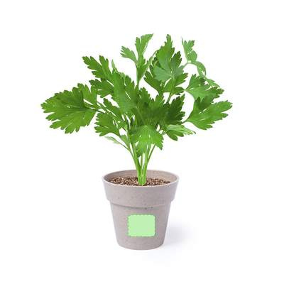 Blomkrukaset Nertel: Planter 2