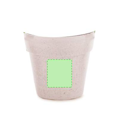 Flowerpot Advert, NATURAL: In the pot