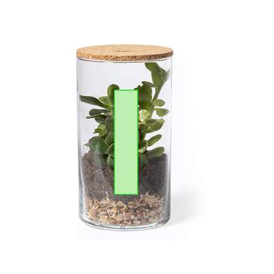 Terrarium Anymak: På locket