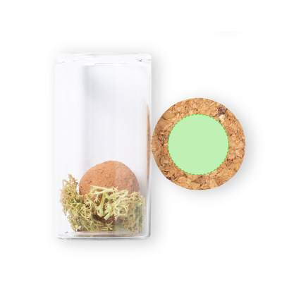 Samenbonbons Winsu, Typ b: In der Kappe