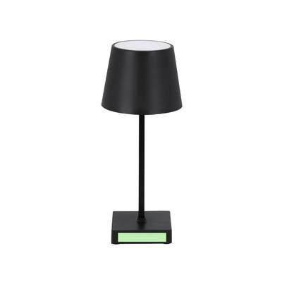 Lamp Madison: Area 3