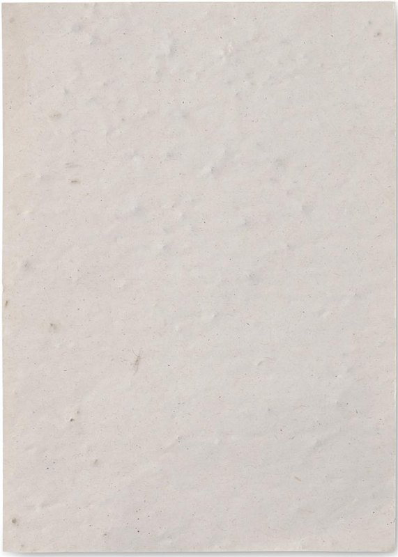 Feuille A6 de papier ensemencé de fleurs sauvages: Emplacement du logo – face 1 du produit