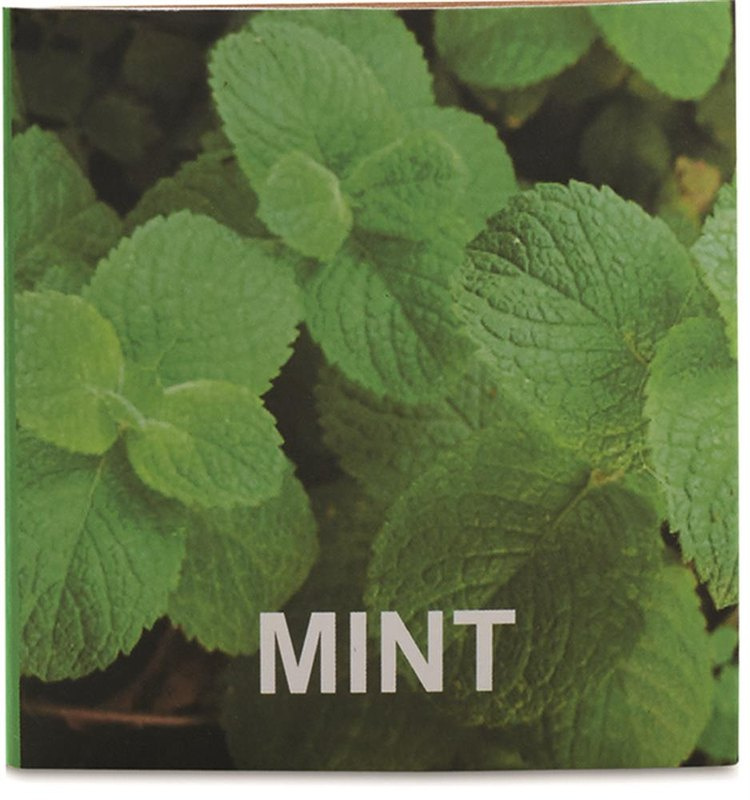 Pot d’aromatiques en bois « MINT »: Emplacement du logo — Boîte: Face avant