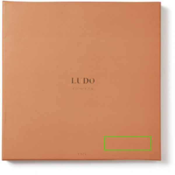 Jeu de Ludo décoratif VINGA: Emplacement du logo – boîte