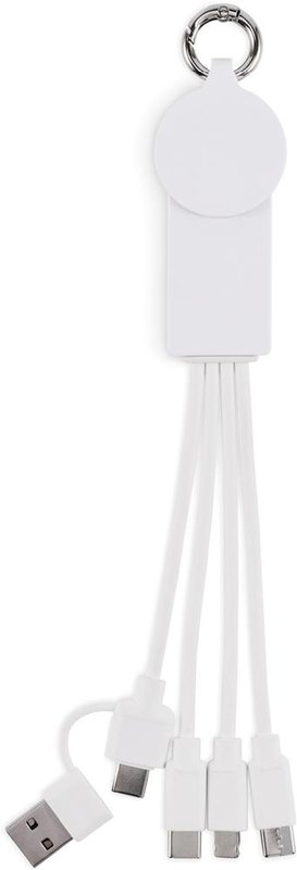 Câble de charge 2 en 1 Type-C: Face 2 — DL
