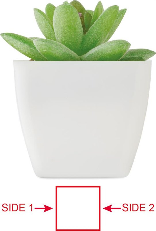Mini-plante artificielle: Face 1