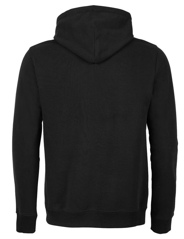 Męska bluza z kapturem NICHOLAS: TYŁ