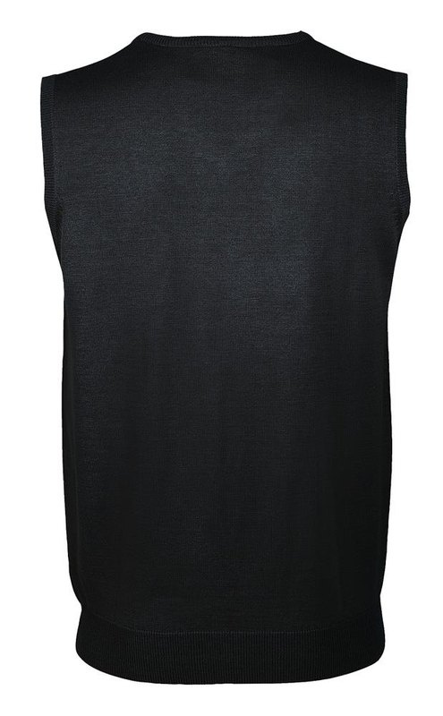 Pull unisexe GENTLEMEN: Face arrière