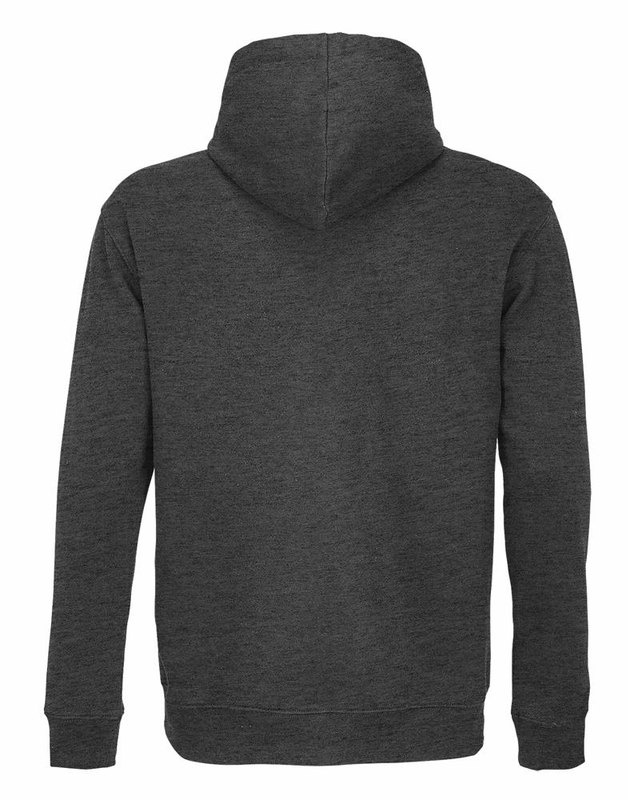 CAMERON Kapuzenpullover: ZURÜCK