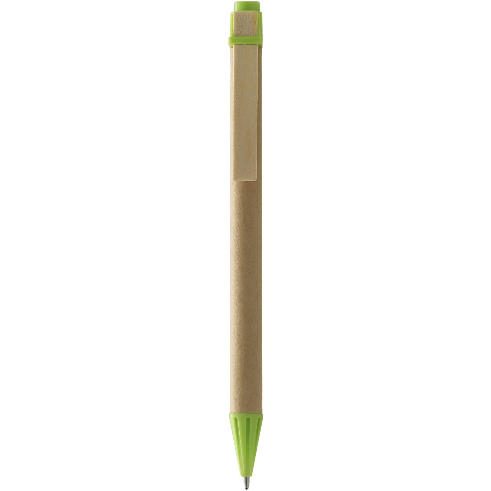 Логотрейд pекламные продукты картинка: Ручка шариковая Salvador, светло-зеленая