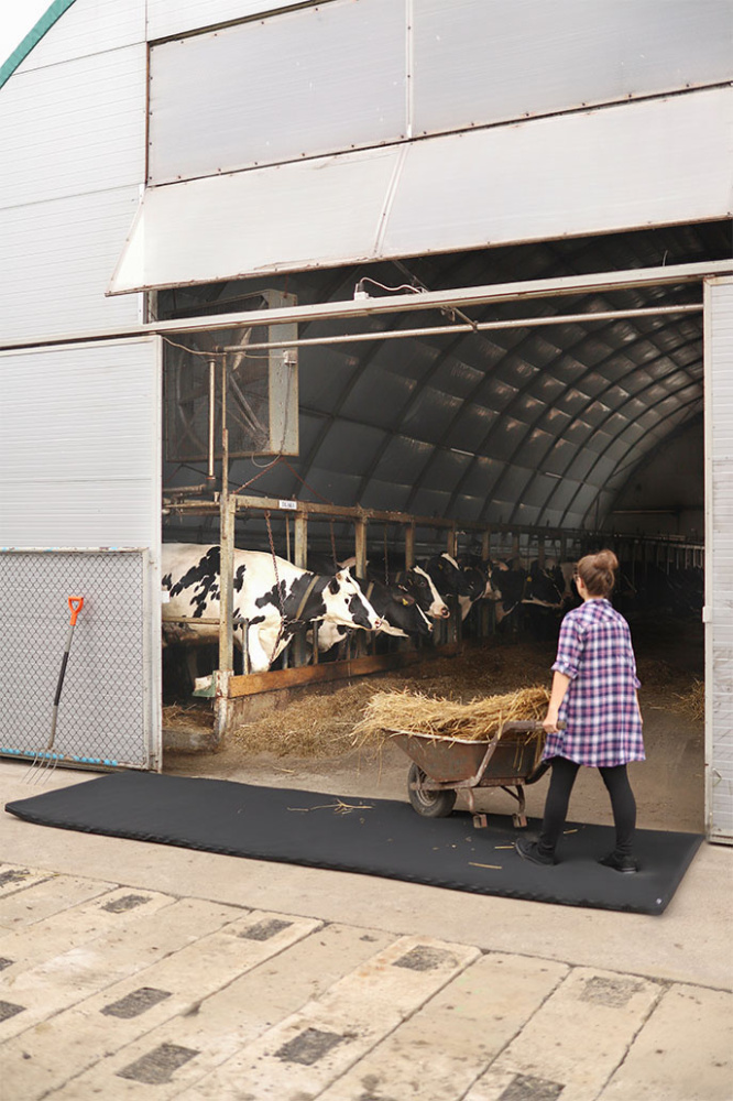 Лого трейд pекламные продукты фото: Перекрёстный дезинфицирующий коврик 120x500x4cm 1366087