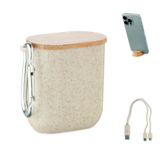 Cable set in case