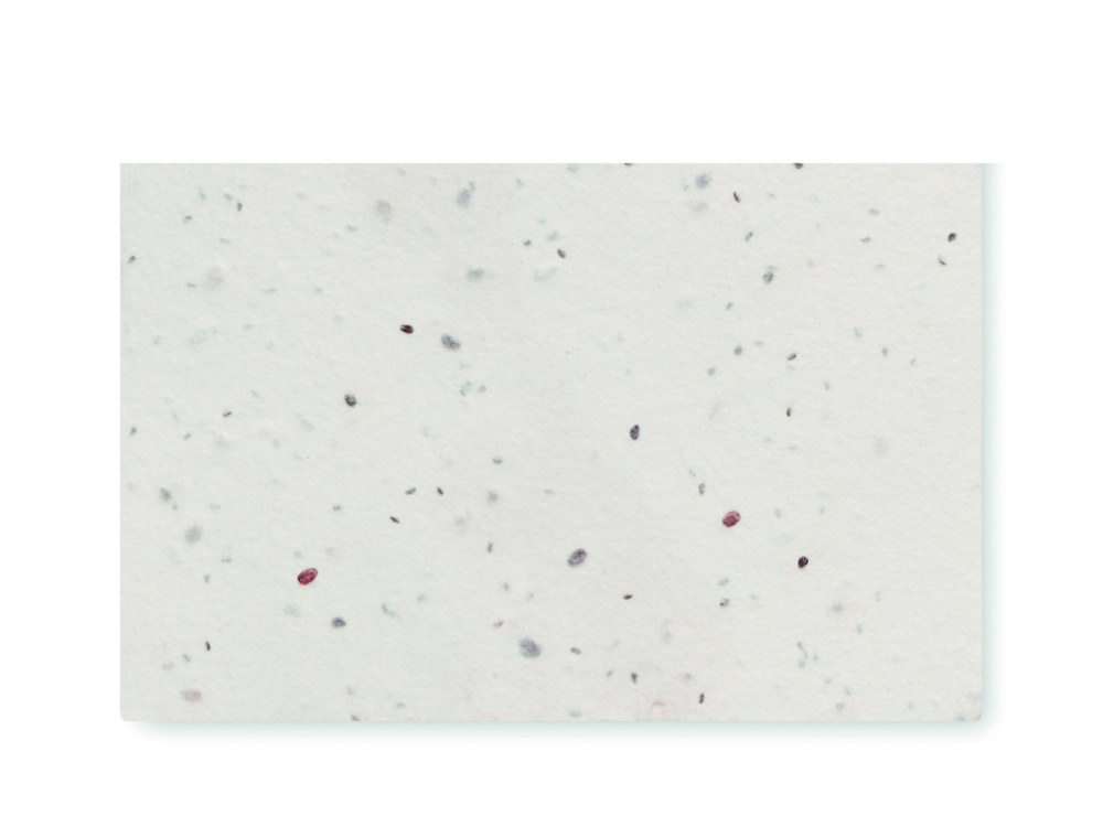 Лого трейд pекламные продукты фото: Wildflower seed business card.