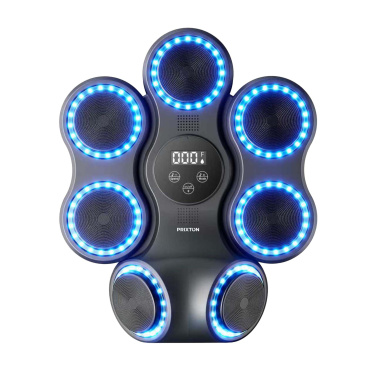 Боксерский тренажер Prixton Combat Pro BM150, изображение товара