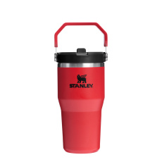 Стакан Stanley IceFlow Flip Straw Tumbler, 0,6 л