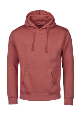 Толстовка с капюшоном без этикетки, Кактус – Tee Jays (3)