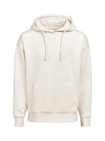UM (OCS-RCS) Loose Fit – худи (унисекс), Береза – Untagged Movement (1)