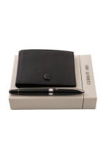 Комплект NLM202A + NSC2455A