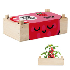 Деревянный ящик с семенами на ваш выбор для создания уникального набора для выращивания.